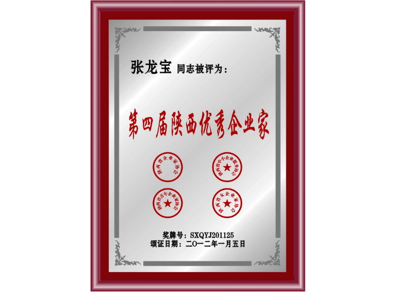 第四屆陜西優(yōu)秀企業(yè)家 第四屆陜西優(yōu)秀企業(yè)家